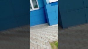 я проследил за другом ели сбежал!