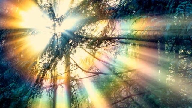 С открытым забралом на Высшее Благо! смотреть онлайн