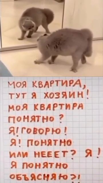 вызывайте экзорциста