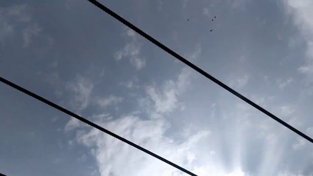 Бойные Голуби. Гоняем голубей у Гаиоза. 22.03.21 Грузия. Тбилиси смотреть онлайн