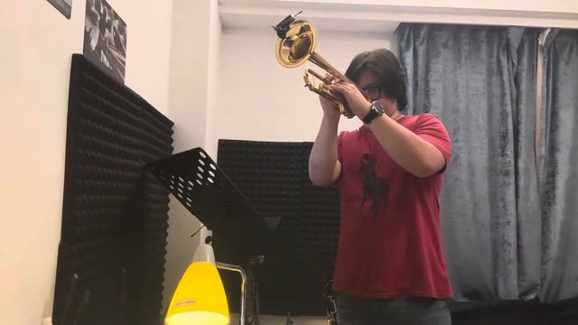 Cinema Paradiso(Trumpet cover) смотреть онлайн