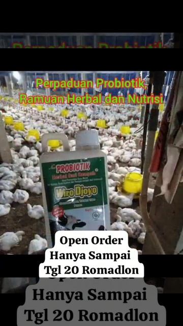 New Probiotik Herbal Sari Rempah+ "Wiro Djoyo" смотреть онлайн