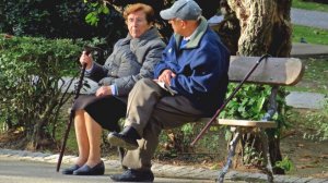 Как гарантированно получить ответ от Социального фонда на свое обращение: порядок действий