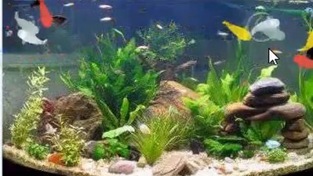 Рыбки в интернете смотреть онлайн