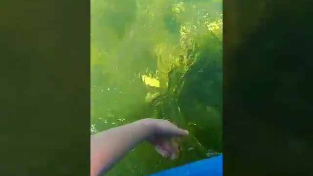 Проводить время с семьёй, это шикарно! смотреть онлайн