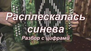 Расплескалась синева. (044 гармонь с цифрами)