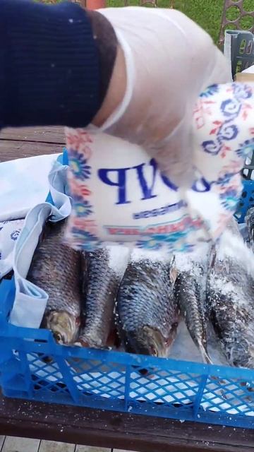 солила, солю и буду солить только так речную рыбу смотреть онлайн