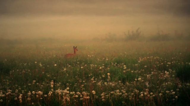 ПУТЬ В ОХОТУ. Зарисовки со съёмок новой серии! смотреть онлайн