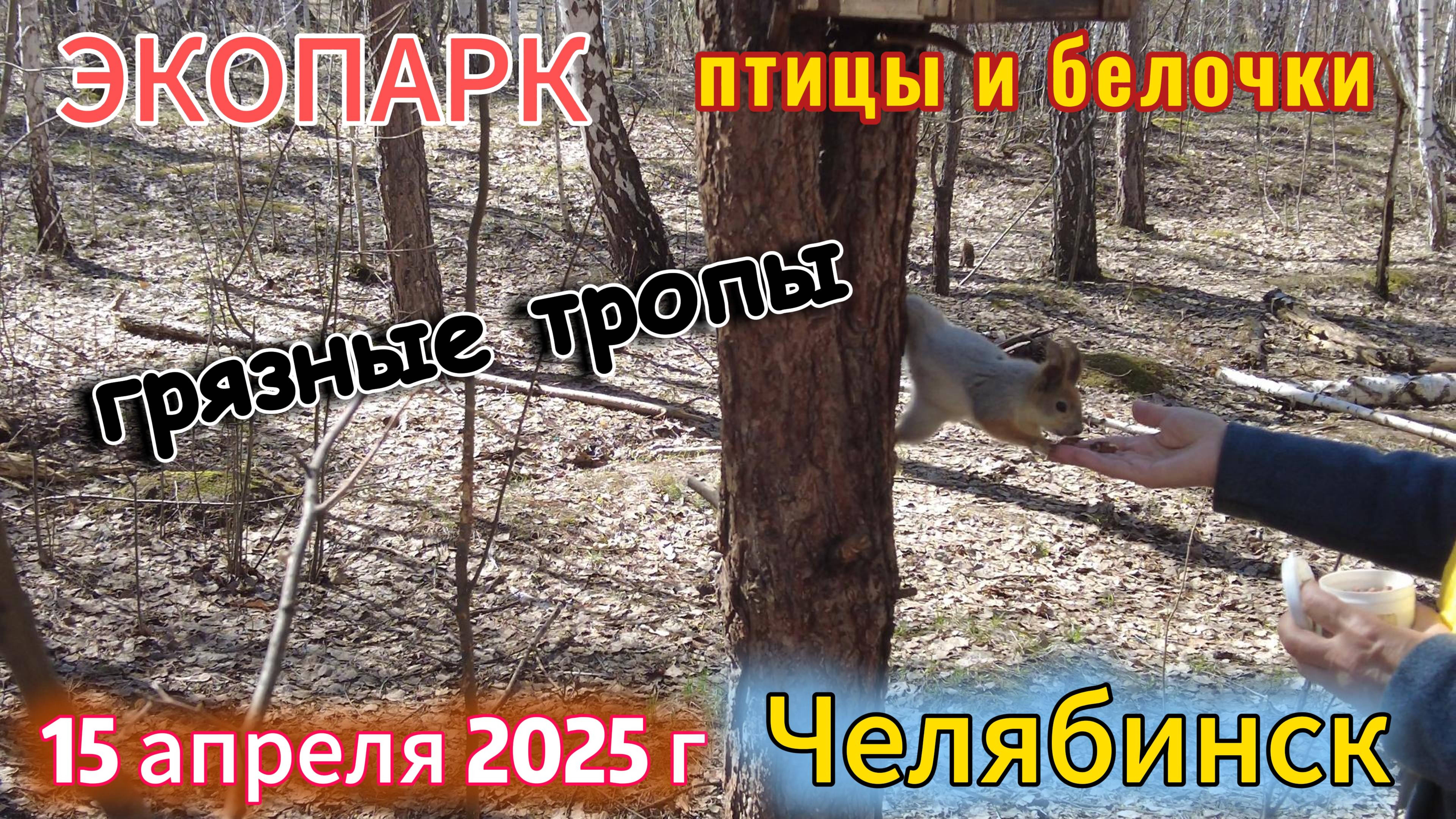Грязными тропами в Экопарк Челябинск 15 апреля 2025 г