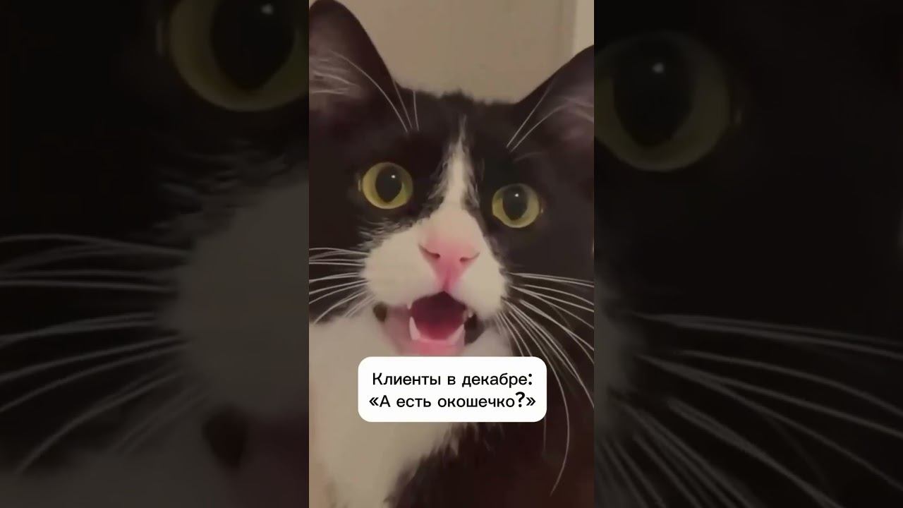 У вас бронируют декабрь заранее или только за пару дней до мероприятия? #аквагрим #faceart #faceart