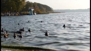 Дыхательная практика с медитацией на спокойствие