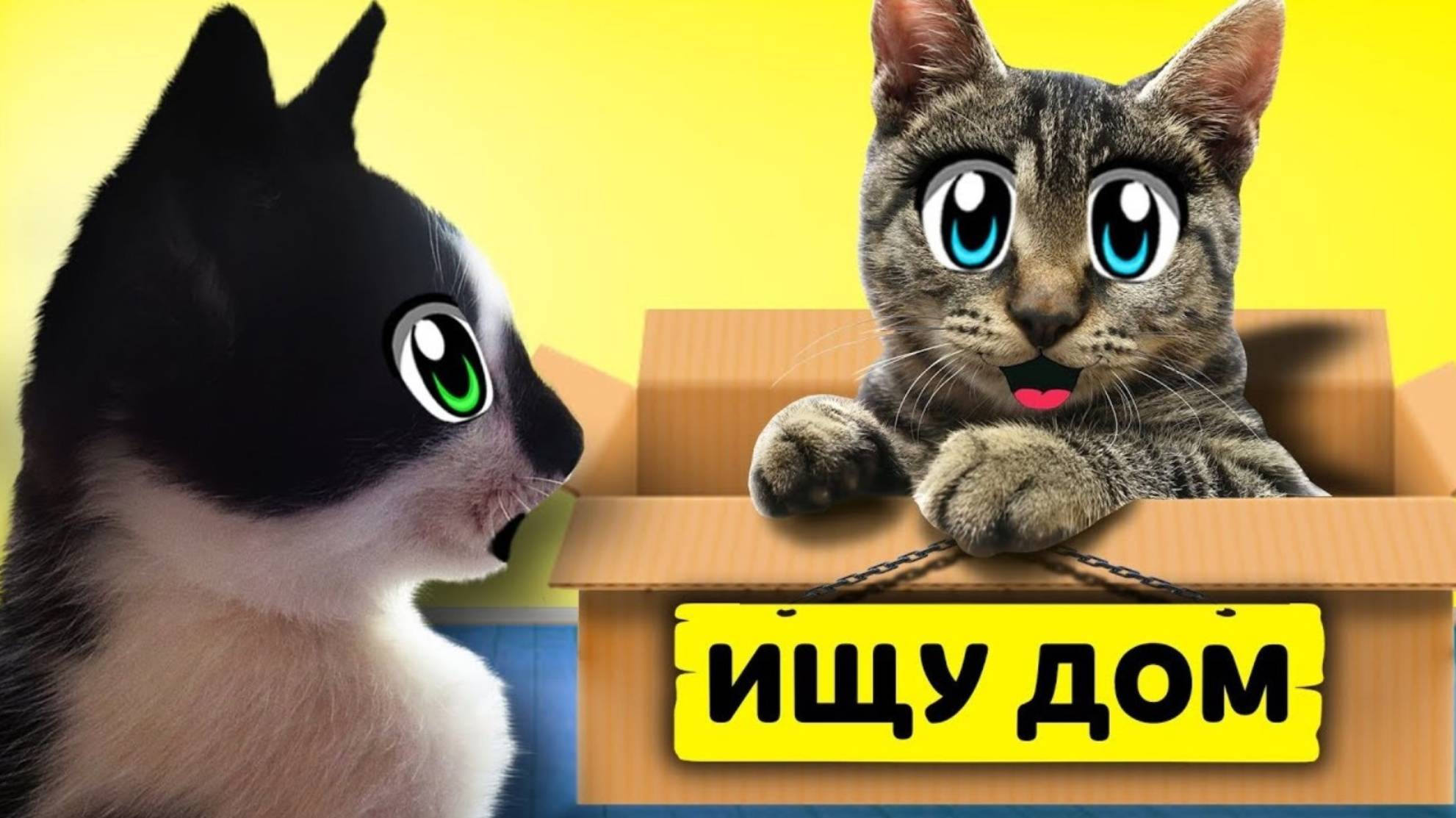 ИЩУ ДОМ! КОТ МАЛЫШ и КОШЕЧКА МУРКА и Бездомный КОТЕНОК! МЫШКА наш НОВЫЙ ПИТОМЕЦ!  А ну-ка давай-ка
