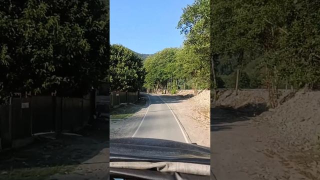 Отпуск 2023,Сочи, Лазаревское смотреть онлайн