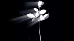 1000094676.mp4