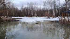 "Золотые пески" Черняевского леса ПЕРМИ