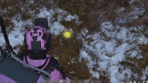 Загадочные цветы появились на Сахалине.....Это DAYZ. Сервер БРОдягаPVE.