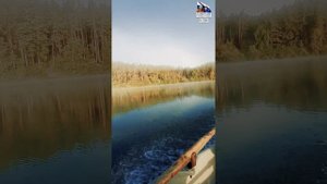 ОЗЕРО "БОЛЬШОЙ КЫЗЫКУЛЬ" / ИНСКИЙ БОР / РЫБАЛКА 2023 / КРАСНОЯРСКИЙ КРАЙ