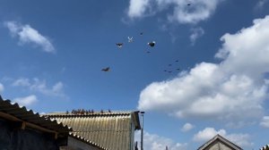 Николаевские Голуби.Курская обл.Г.Обоянь.