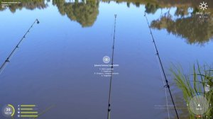 500+. язь+осетр русский