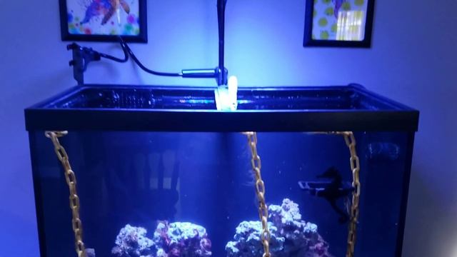 Black Box to Kessil смотреть онлайн