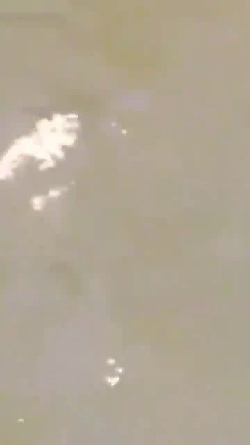 ORNITO ᵛⁱᵈᵉᵒ ᶜᵒᵐᵖˡᵉᵗᵒ ⁼ ᵗᵒᶜᵃ "ᶜʳᵉᵃᵈᵒ ᵃ ᵖᵃʳᵗⁱʳ" #animales #sabiasque #curiosidades #datoscuriosos смотреть онлайн