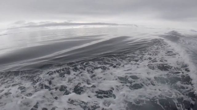 ICE FLOW TWO - Svalbard 2019 - MS Freya смотреть онлайн