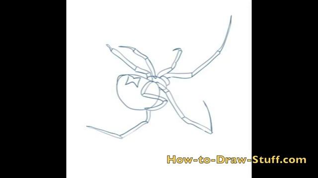 draw black widow spider how to draw a black widow spider смотреть онлайн