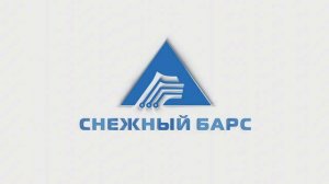 О компании Снежный Барс
