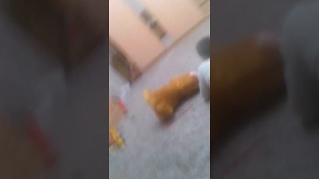 Приколы по телефону и катание на лошадке смотреть онлайн