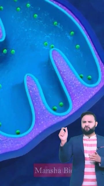 New Era of Education.Animated Lecture.simple and clean concept of Mitochondria and its function