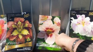 САЖАЮ КРАСОТУ В АПРЕЛЕ.15.04.2025.Каменск-Уральский.