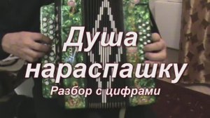 Душа на распашку. (042 гармонь с цифрами)