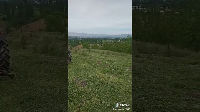 Тракторго штраф жазган ГАИ жазаланды... смотреть онлайн