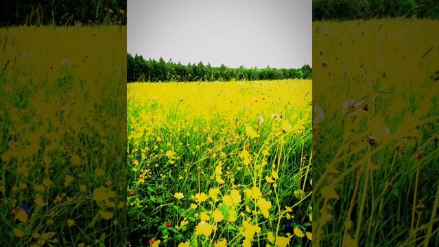 Ныряй без остатка...(Как же мне хорошо, что я тебя нашёл... )