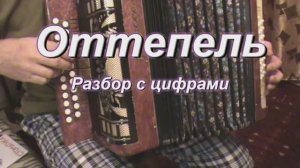 Я думала это весна, а это оттепель. (026 гармонь с цифрами)