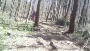 Traktor t40 s lebedka drpa drva