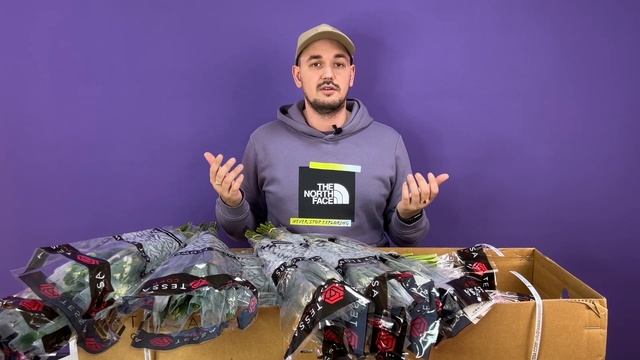 Идеальная альстромерия 60 см от Tessa. Микс белых и розовых сортов. Антон Соловьев