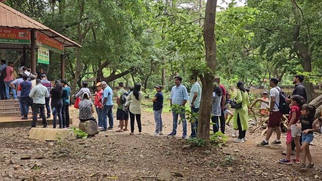 Sanjay Gandhi National Park Borivali Mumbai Complete Tour | Tiger Safari | Kanheri Caves | SGNP