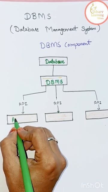 DBMS | Component of DBMS #reels #youtubeshorts #shortvideo #computer #education #dbms #mcaentrance