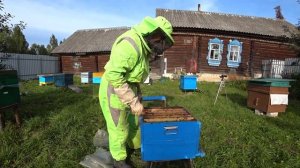 Собираем гнездо пчел в зиму