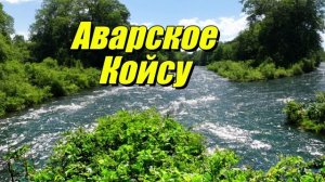 Река Аварское Койсу
