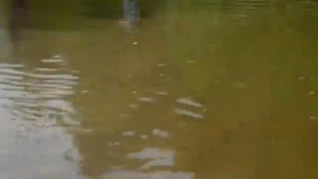 Отдых в лесу Коли смотреть онлайн