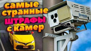 Необычные фото нарушений, снятых на камеру фиксации нарушений ПДД