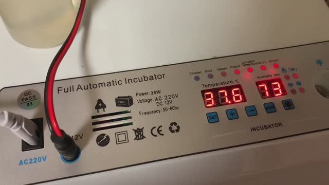 20день инкубации в РЯБА 36 и под квочкой_китайский инкубатор ряба 36_ мешанка для кур_ 27 марта 2025 смотреть онлайн