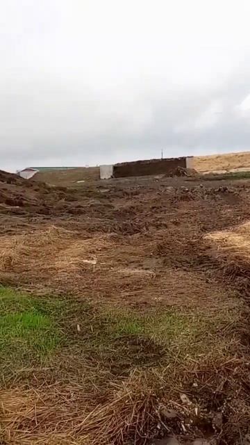 ☑️Курган Россия 💪🇷🇺🚜 смотреть онлайн