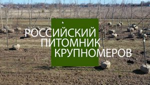 Наши крупномеры Введение.