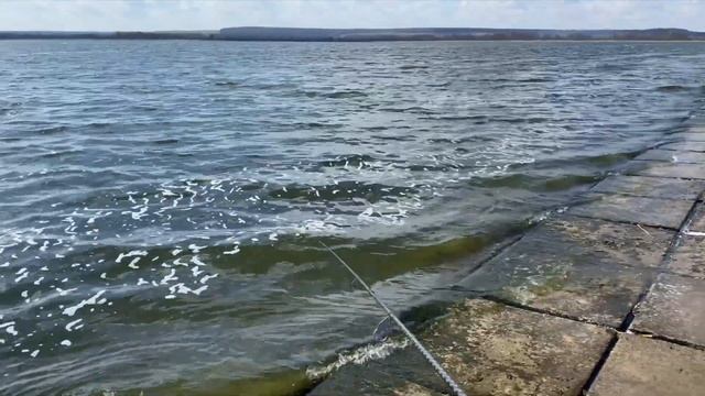 АТОМная РЫБАЛКА пруду АЭС! КАК и на ЧТО мы половили тиляпию на спиннинг с берега. смотреть онлайн