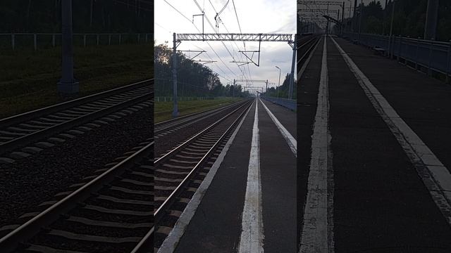 Сдвоенный электропоезд "ЛАСТОЧКА" ЭС2Г-023 и ЭС2Г-018 и электропоезд "САПСАН" ЭВС1-16. Трубниково. смотреть онлайн