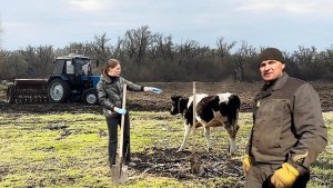 УТРЕННЯЯ ПОЕЗДКА НА РЫнок /НАЧиНАЕМ СТРОИТЬ ДРОВНИК /ОЧИЩЕНИЕ ЗАБРОШЕННОГО ПРОУЛКА/КУРИЦА НА УГЛЯХ