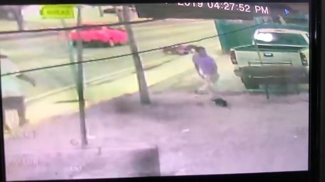 Pack of dogs mauls man in northwest Miami-Dade, video shows смотреть онлайн